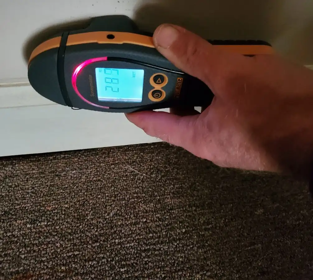 Moisture detection at baseboard during Sewage Cleanup & Sanitation in Harrisville